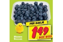 blauwe bessen