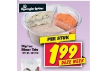 dip ns meer trio