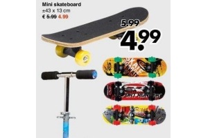 mini skateboard