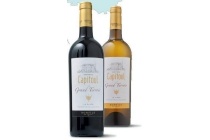 chateau capitoul