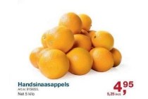 handsinaasappels