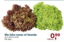sla lollo rosso of bionda