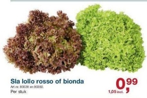 sla lollo rosso of bionda