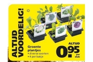 groente plantjes