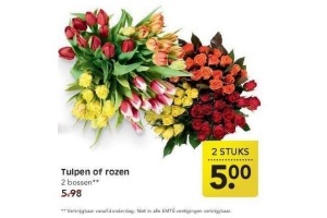 tulpen of rozen