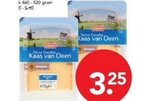 deen goudse 48 kaas stuk