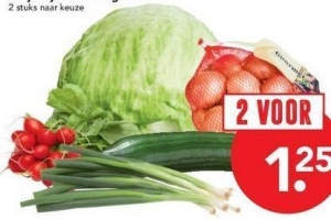 ijsbergsla komkommer radijs bosui of sjalotjes net 350 gram