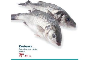 zeebaars