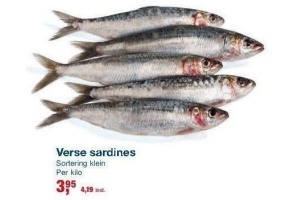 verse sardines