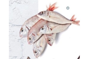 pagelli