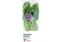 shanghai paksoi