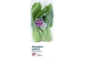 shanghai paksoi