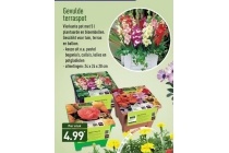 gevulde terraspot