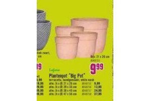 plantenpot big pot