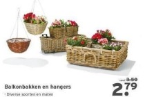 balkonbakken en hangers