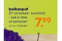 balkonpot nu eur7 99 per stuk