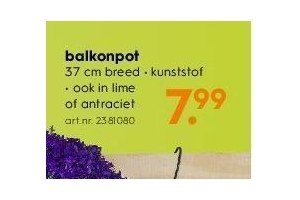 balkonpot nu eur7 99 per stuk