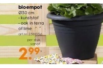 bloempot nu eur2 99 per stuk