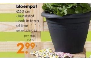 bloempot nu eur2 99 per stuk