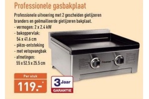 professionele gasbakplaat