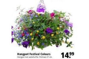 hangpot festival colours