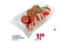 cocktail trostomaten
