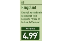 hangplant