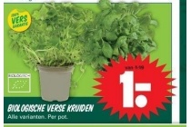 biologische verse kruiden