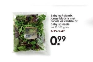 babyleaf slamix met rucola veldsla of babyspinazie