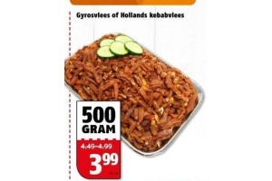 gyrosvlees of hollands kebabvlees