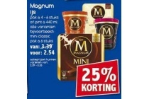 magnum ijs