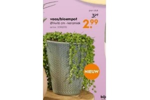 vaas bloempot