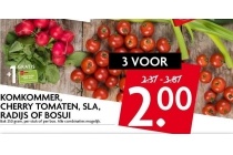 komkommer cherrytomaten sla radijs of bosui