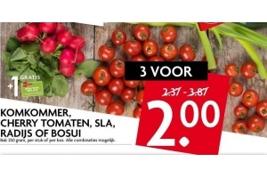 komkommer cherrytomaten sla radijs of bosui