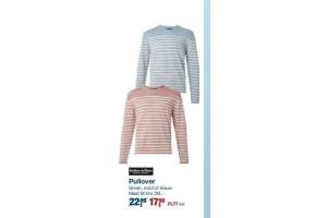 tailor en son pullover