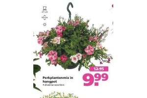 perkplantenmix in hangpot