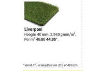 liverpool kunstgras