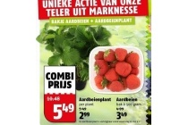 aardbeienplant en aardbeiden