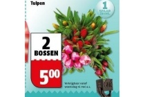 tulpen