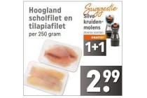 hoogland scholfilet en tilapiafilet
