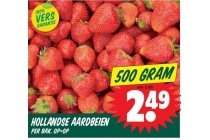 hollandse aardbeien