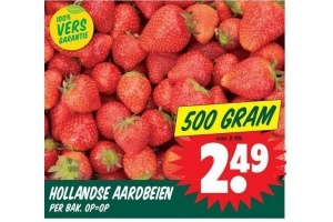 hollandse aardbeien