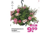 perkplantenmix in hangpot