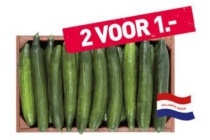 komkommer