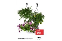 hanging basket