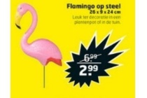 flamingo op steel