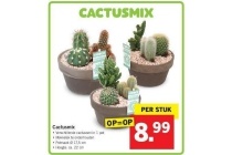 cactusmix