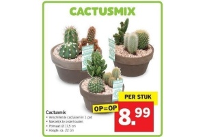 cactusmix