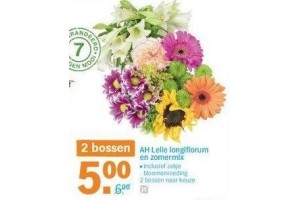 ah lelie longiflorum en zomermix