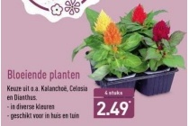 bloeiende planten